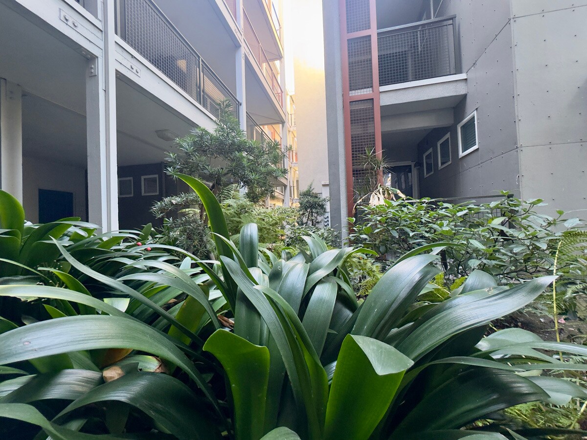 Building Photo - 1121 40th St