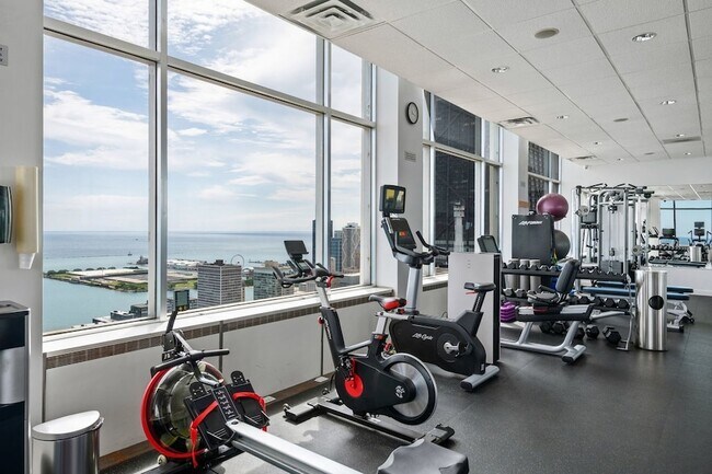 Building Photo - 1000 N Lake Shore Dr