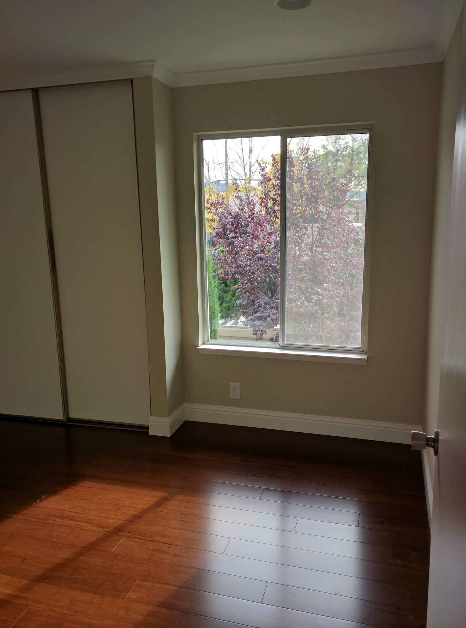 Building Photo - 1566 Capri Dr