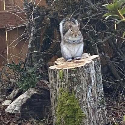 Building Photo - 9443 21st Ave SW