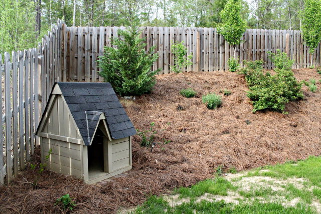 Building Photo - 746 Gallaway Ln