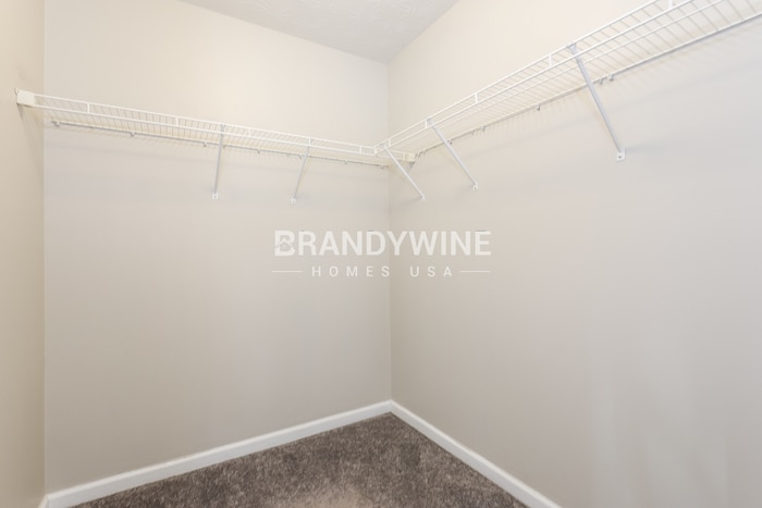 Building Photo - 10799 Misty Meadows Pl