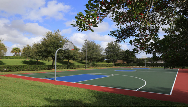 Basketball Court - 8323 Eagle Isles Pl