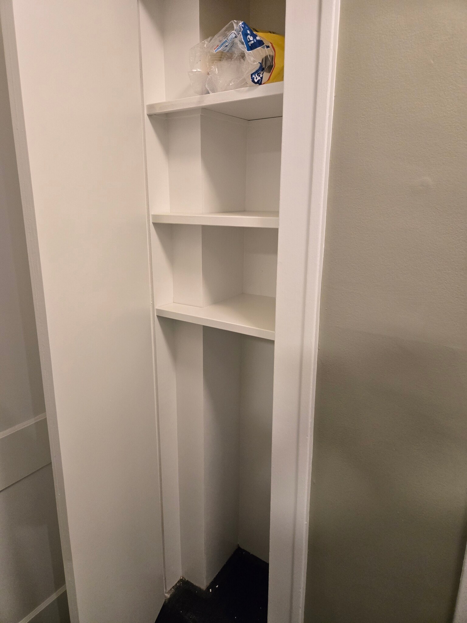 hallway storage - 1019 Widdicomb Ave NW