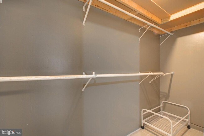 Building Photo - 4009 Timber Oak Trl