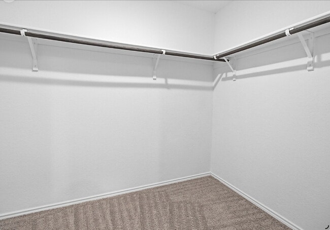Building Photo - "Charming 4-Bedroom Haven in Saint Hedwig with 2 Full Baths and 1668 Sq Ft of Comfort!"