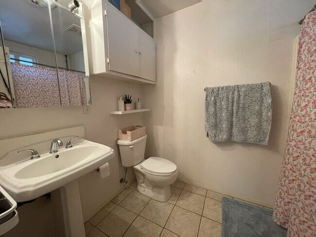 Building Photo - Great 5 bedroom house with large yard a block from campus available for September move in!