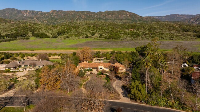Building Photo - Outdoor Oasis
