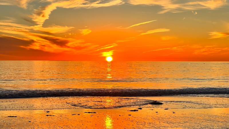 Building Photo - 2995 Calle Gaucho