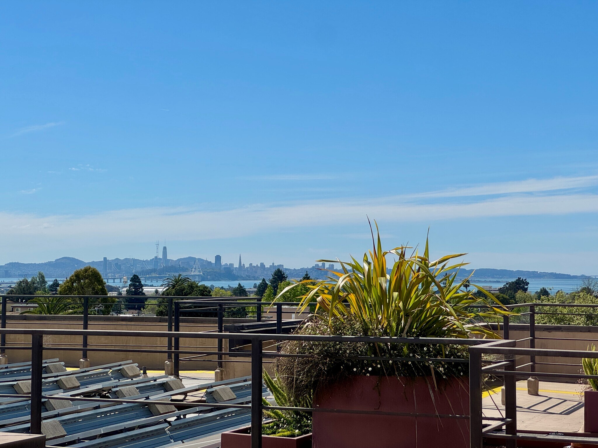 View for SF rom Bedroom - 2029 Channing Way