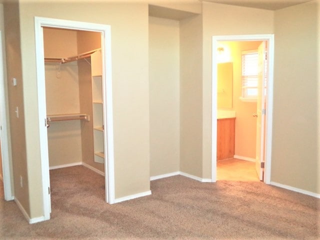 Building Photo - 8456 W Harmonica Way
