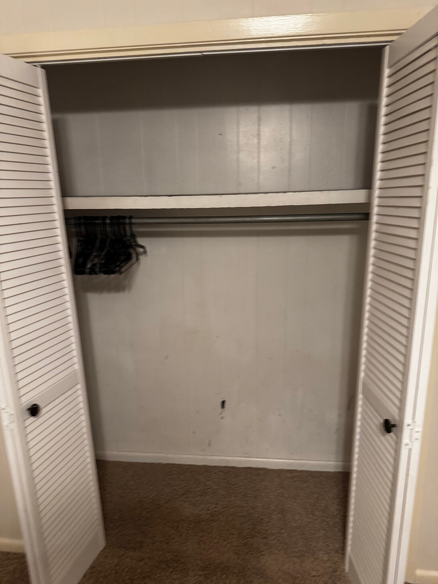 Bedroom 1 Closet - 117 Steed Rd