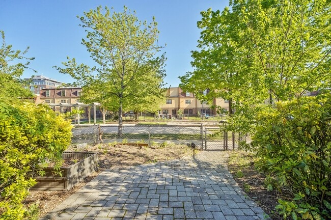 Building Photo - 1339 Riggs St NW