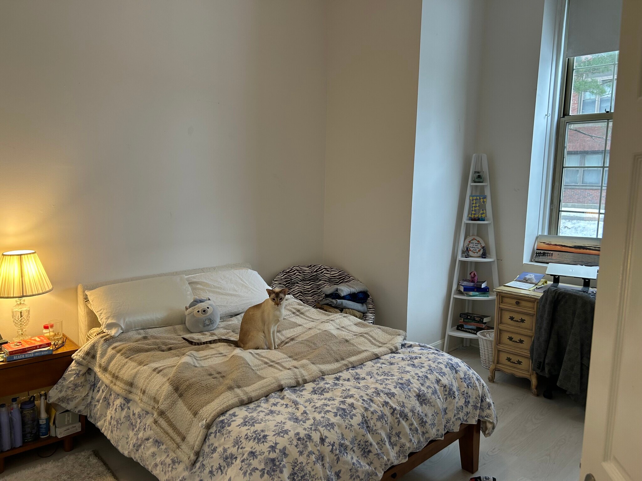 Building Photo - 48 Forest St