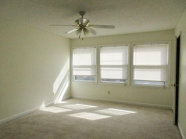 Building Photo - 117 Engleside St