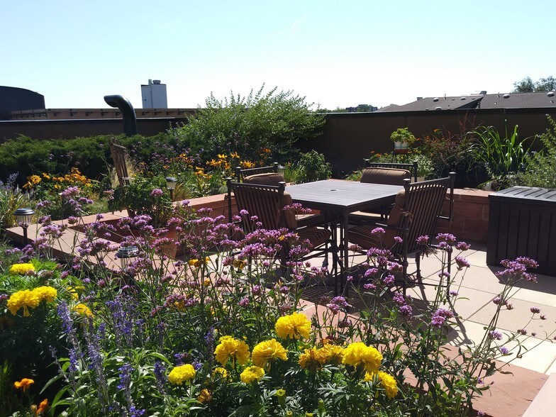 Private Exterior Terrace - 1650 Fillmore St