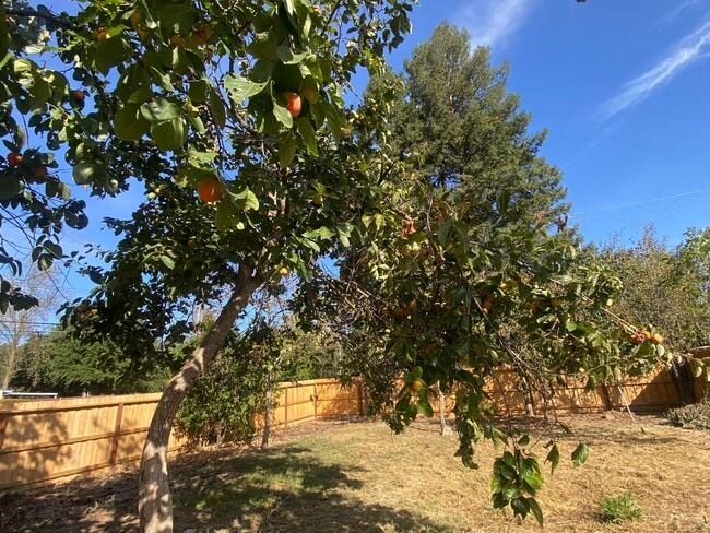 Building Photo - RECENTLY RENOVATED 4 BED, 2.5 BATH HOME ON CORNER LOT