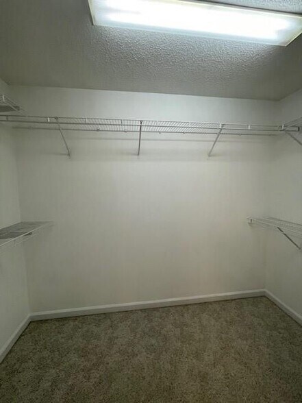 Building Photo - 381 Etowah Dr
