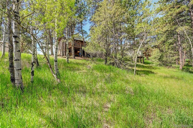Building Photo - 12 minutes from downtown Bailey on a large wooded, private lot