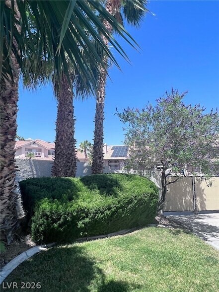 Building Photo - 2817 Via Avanti St