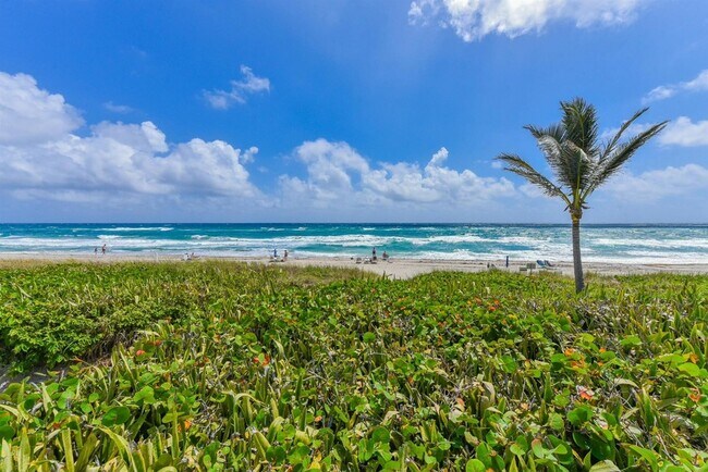 Building Photo - 3300 S Ocean Blvd