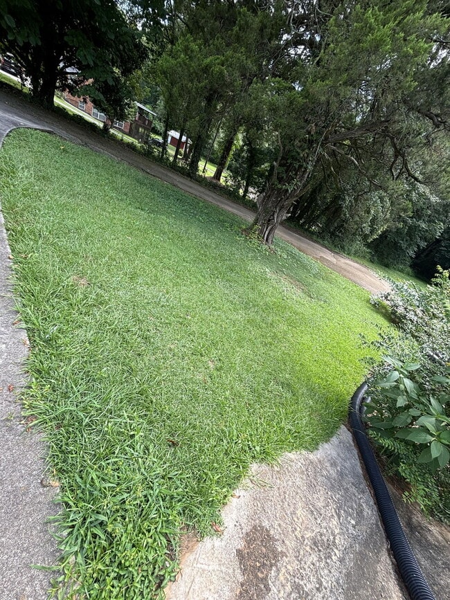 Building Photo - 802 N Park St