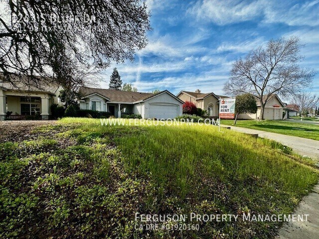 Building Photo - 1243 S Bluff Dr