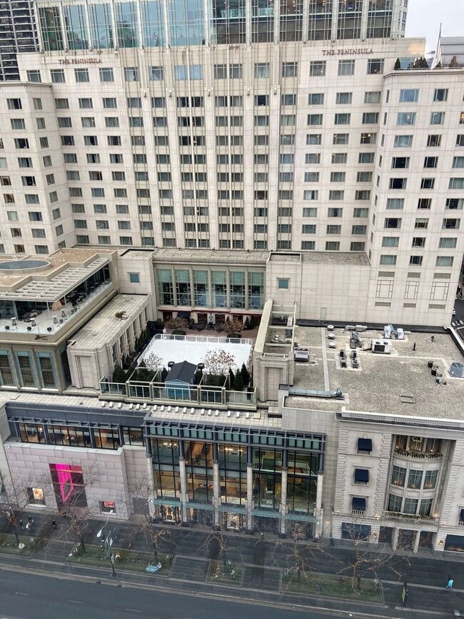 Building Photo - 777 N Michigan Ave