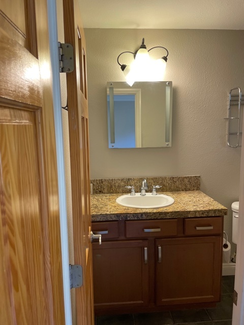 bathroom sink area - 5505 Adelaide Ave