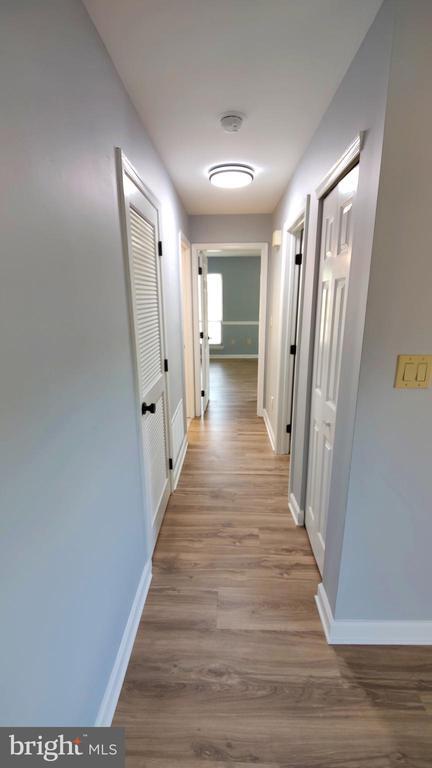 Building Photo - 151 Steeplechase Ct