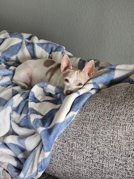 Building Photo - 6135 Easton Cir