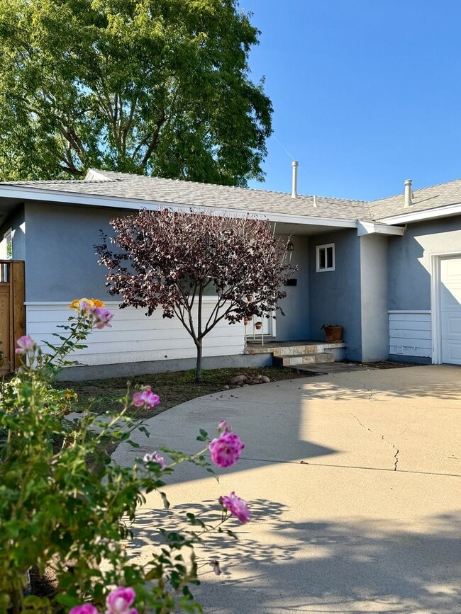 Building Photo - 6856 Newberry St