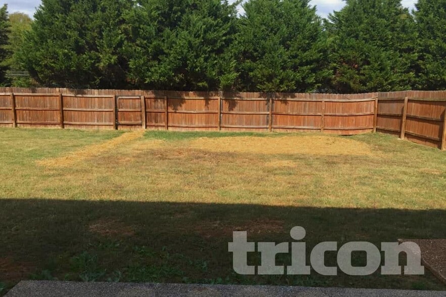 Building Photo - 1404 Weston Ln