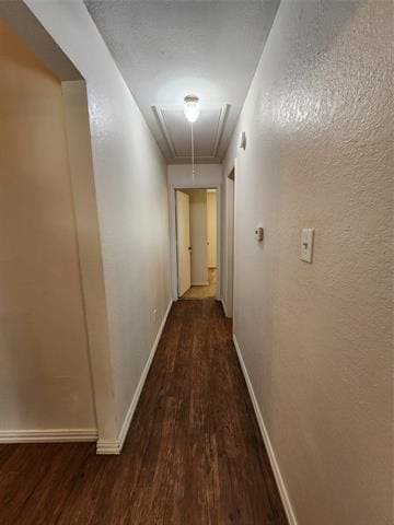 Building Photo - 2925 Timothy Ln