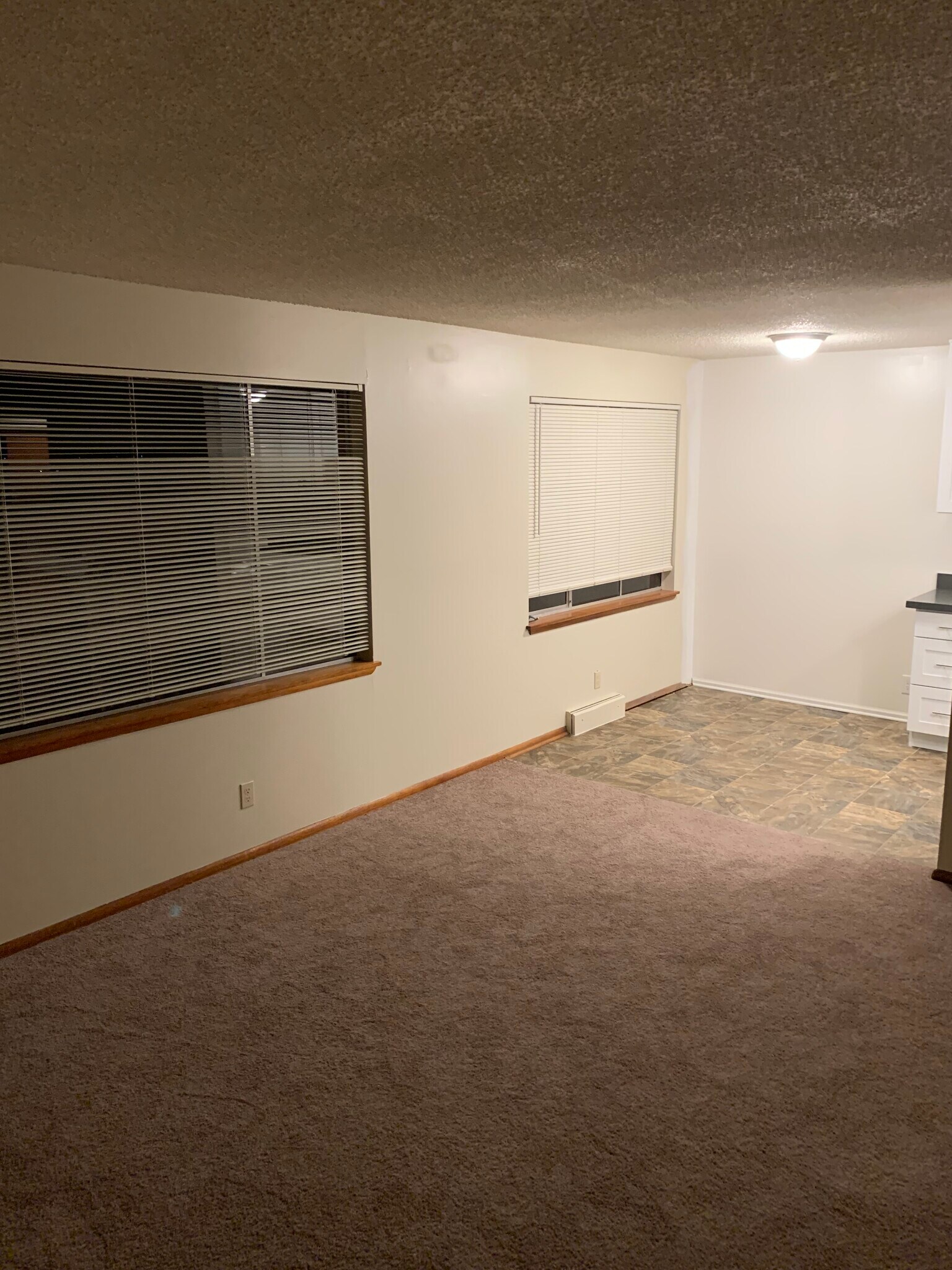 Living Room - 9286 50th Ave S