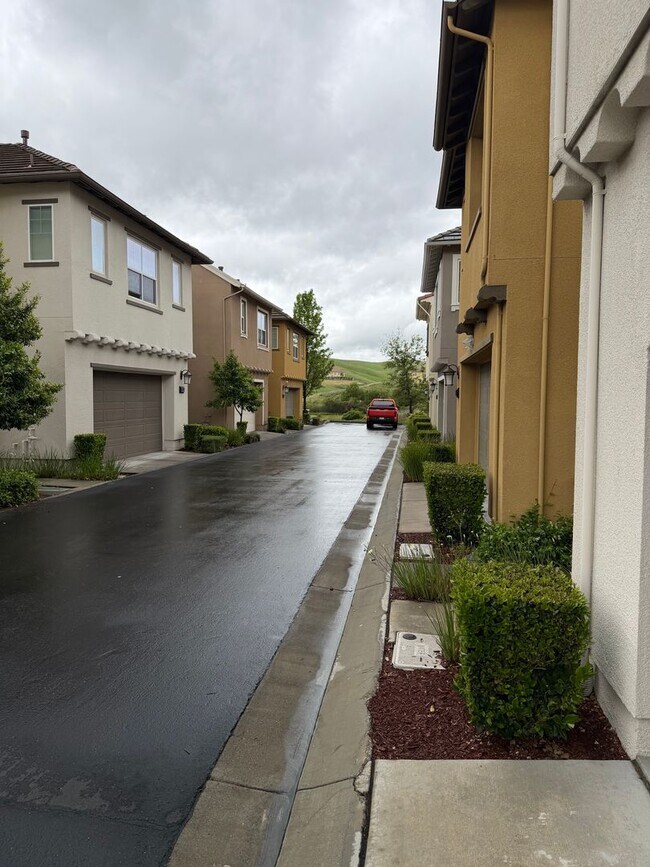 Building Photo - Beautiful Upgraded 4 Bed 3 Bath home in San Ramon Gale Ranch