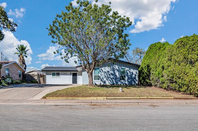 Primary Photo - 1607 Butternut Ln