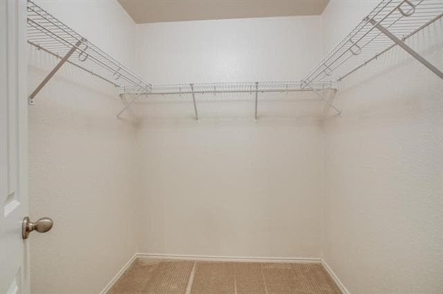 Building Photo - 12911 Balez Dr