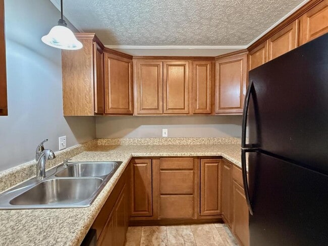 Building Photo - 103 York Dr