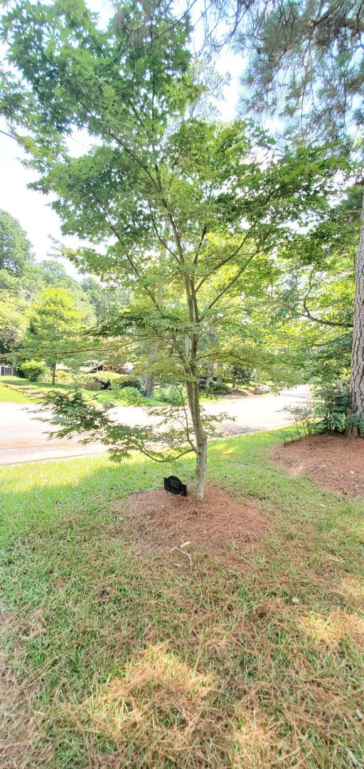 Building Photo - Haymount Charm Home