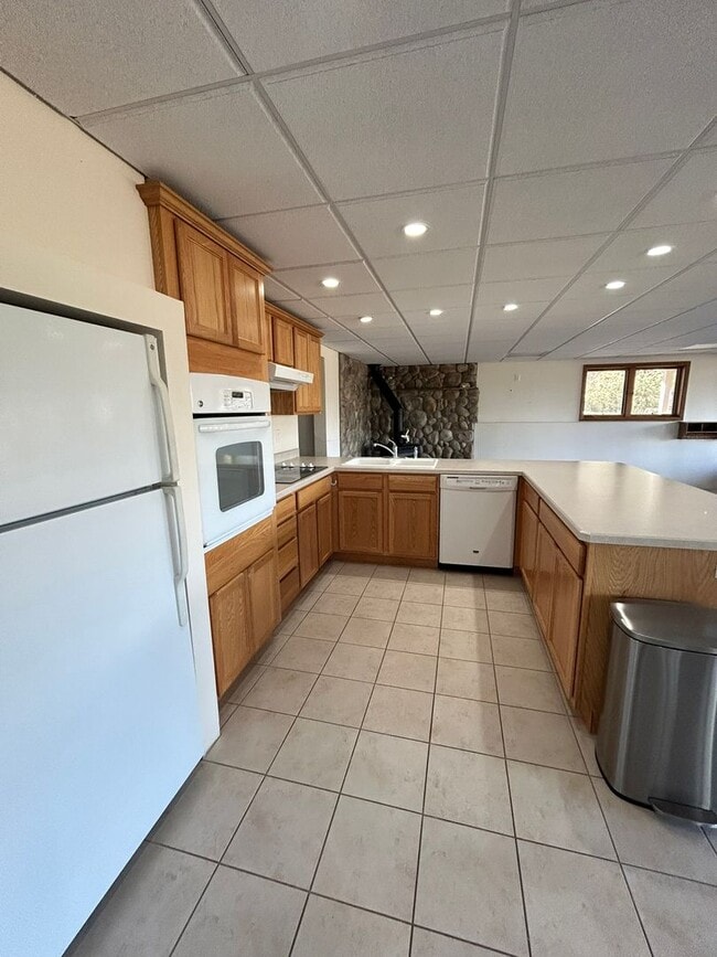 Building Photo - Spacious Daylight Apartment in Hamilton