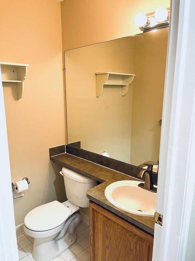 Bathroom 1st floor - 1534 Streamwood Ct