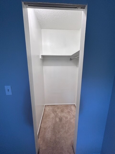 Building Photo - 613 Herb Hudson Ct