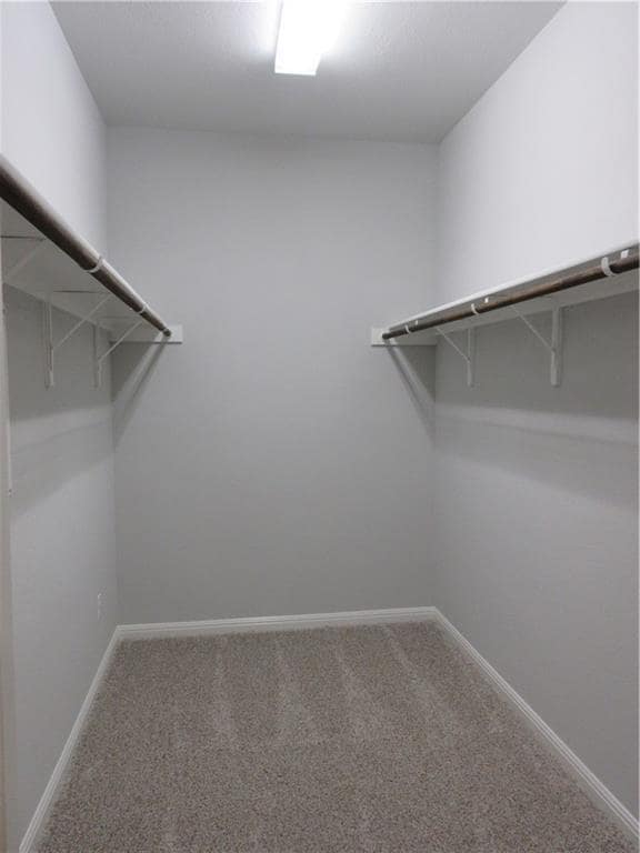 Building Photo - 2224 Pecan Island Dr