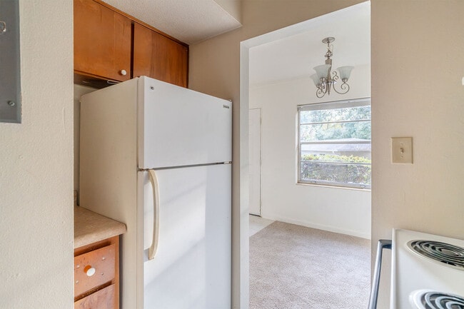 Building Photo - 236 Desoto Dr