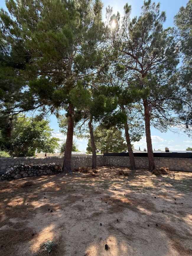Building Photo - 1709 Bruce Devlin Dr