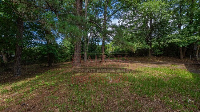 Building Photo - 1617 Woodhollow Dr