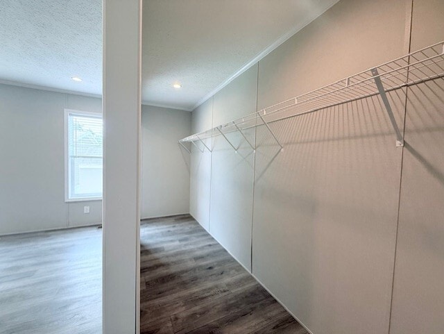 Building Photo - 52491 Potomac Ct