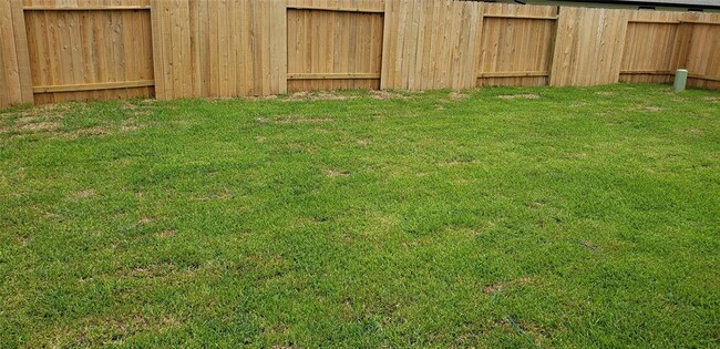 Building Photo - 8003 Borland Ct
