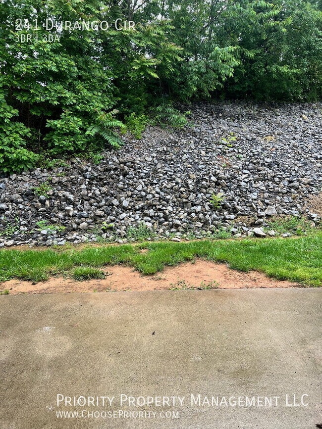 Building Photo - 241 Durango Cir